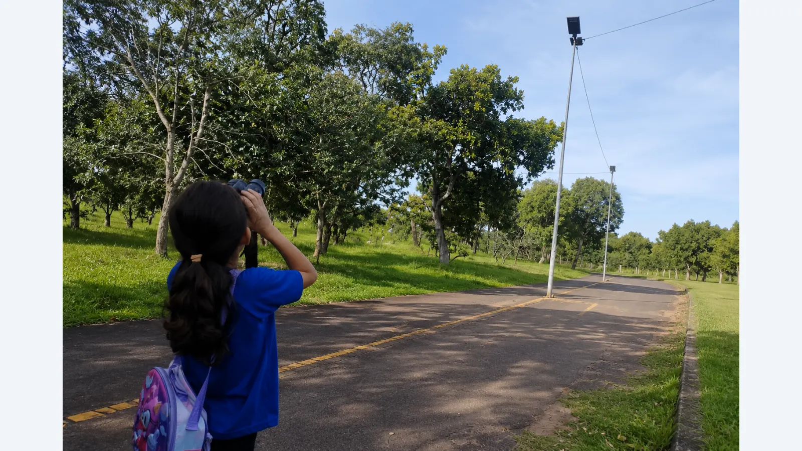 Estudantes da Reme exploram biodiversidade no Parque Sóter em Campo Grande