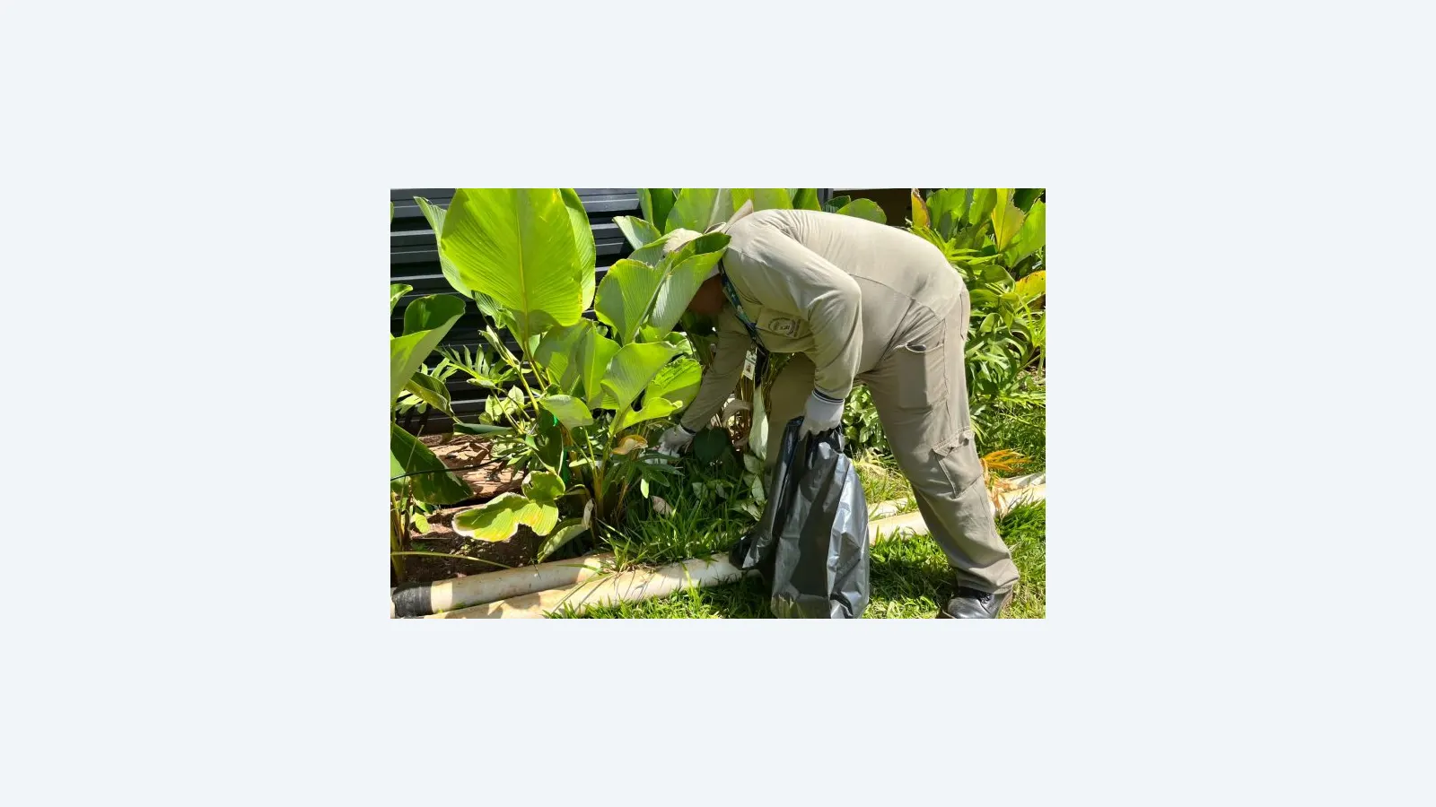 Mato Grosso do Sul registra 3.490 casos confirmados de chikungunya em 2026