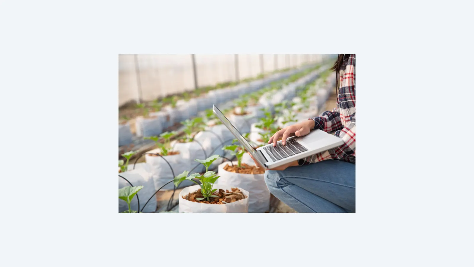 Fatores essenciais para expandir a agricultura 4.0 no Brasil