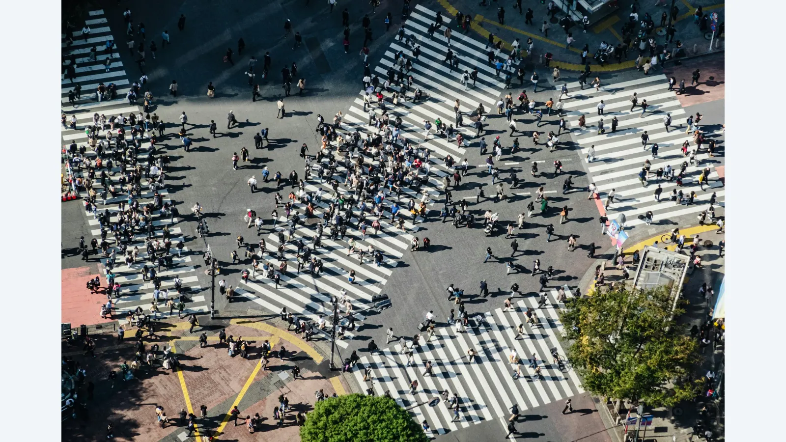 FAPESP Anuncia Chamada para Colaboração em Pesquisa Transatlântica