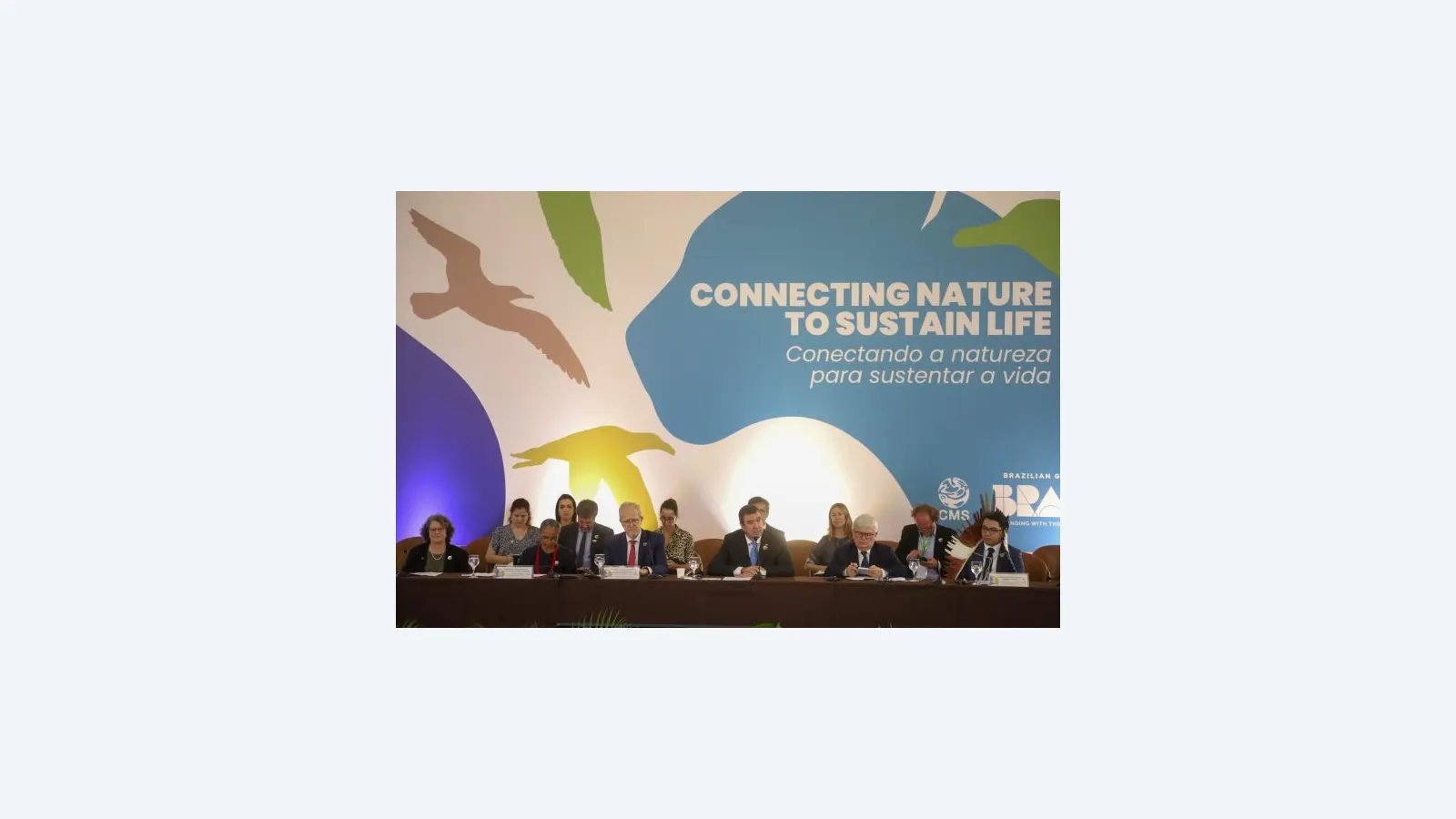 Mato Grosso do Sul lidera encontro global antes da COP15 de conservação ambiental