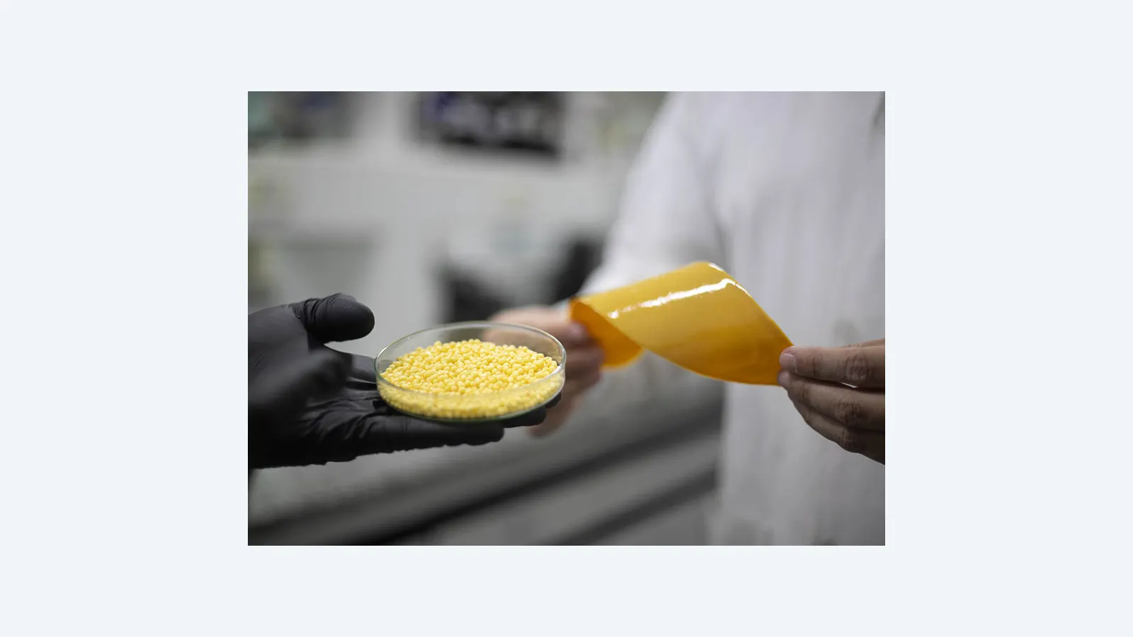 Inovação em Fertilizantes: Ureia com Revestimento de Mamona Aumenta Eficiência Agronômica
