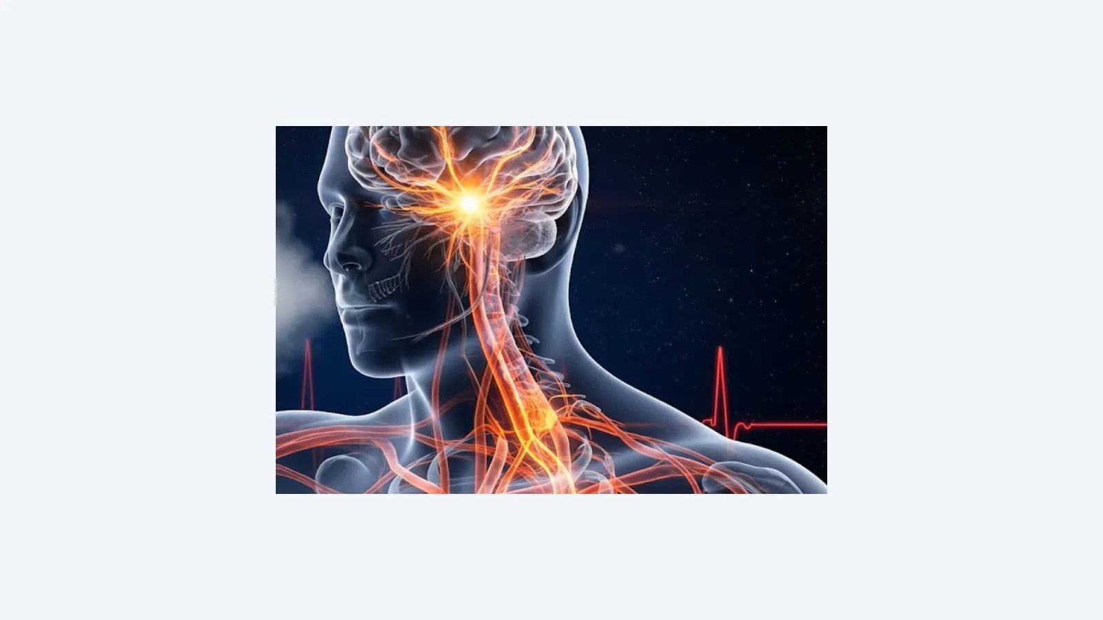 Neurônios ligados à respiração influenciam pressão arterial elevada