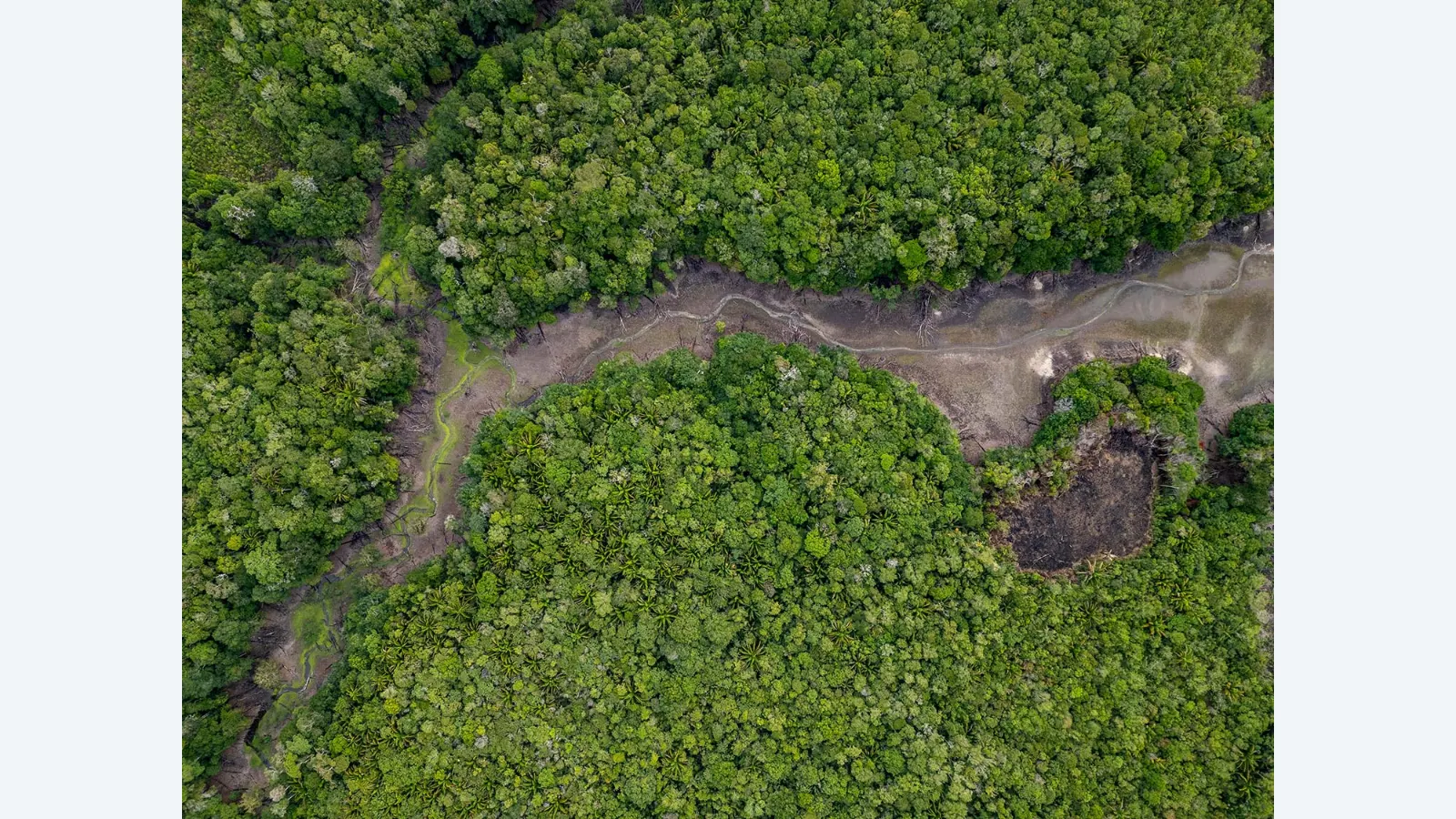 Temperaturas na Amazônia aumentam 3,2 °C na estação seca em 40 anos