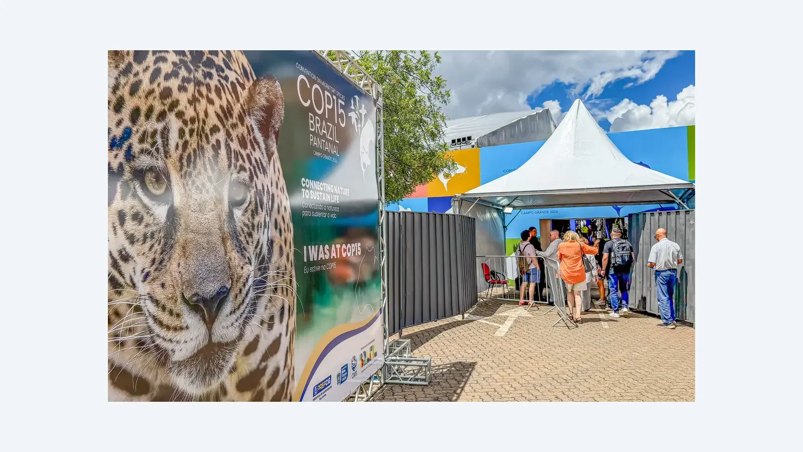 Brasil recebe COP15 para proteger espécies migratórias globais