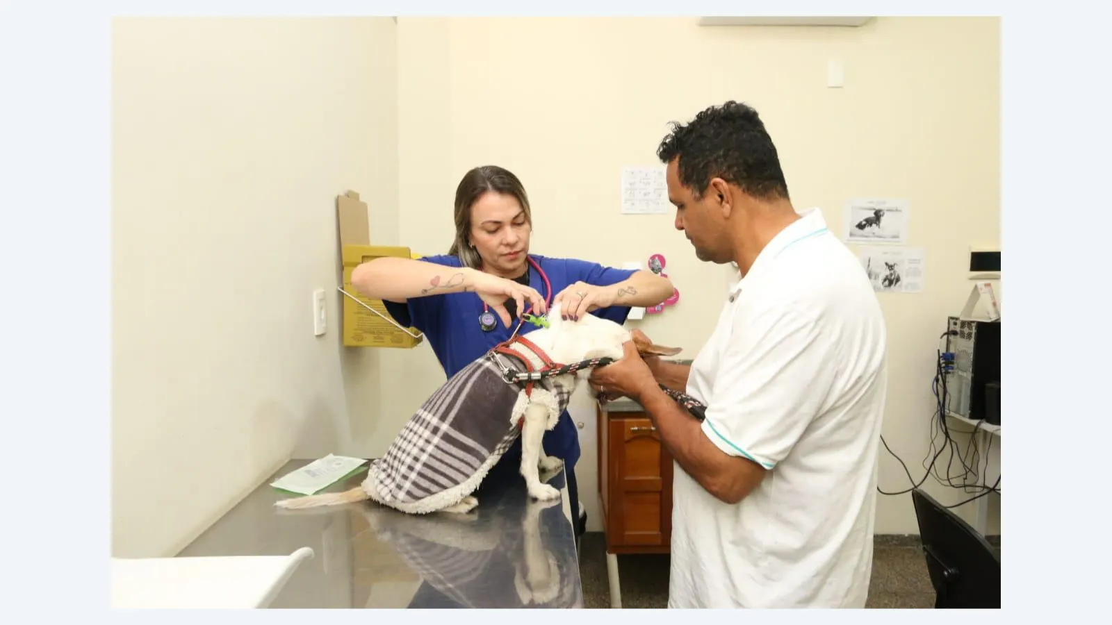 Consultório Móvel da Subea atende no North Park com serviços gratuitos para pets