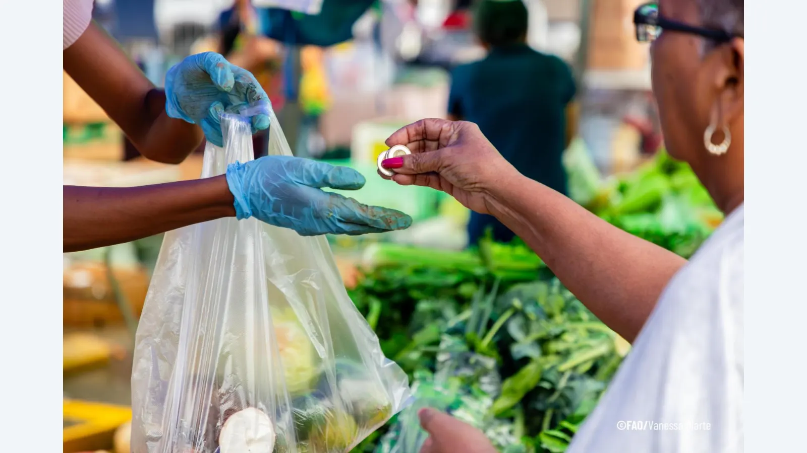 América Latina e FAO Unem Forças para Combater a Fome e a Inflação Alimentar