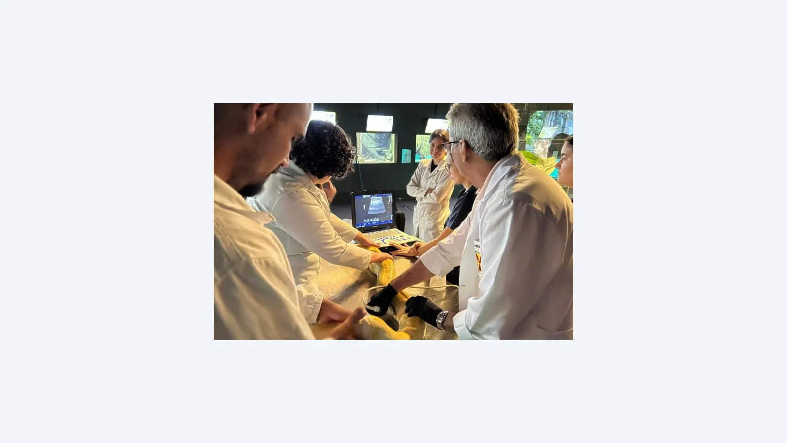 Bioparque Pantanal e UFMS promovem saúde animal com exames de imagem
