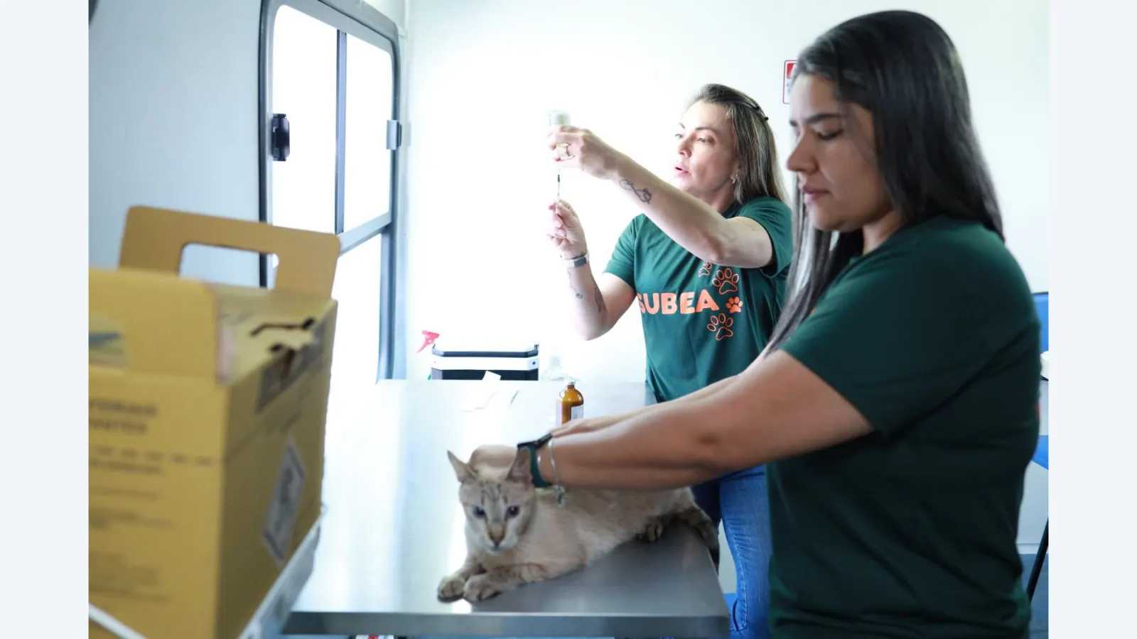 Consultório Móvel oferece atendimento veterinário gratuito em Campo Grande