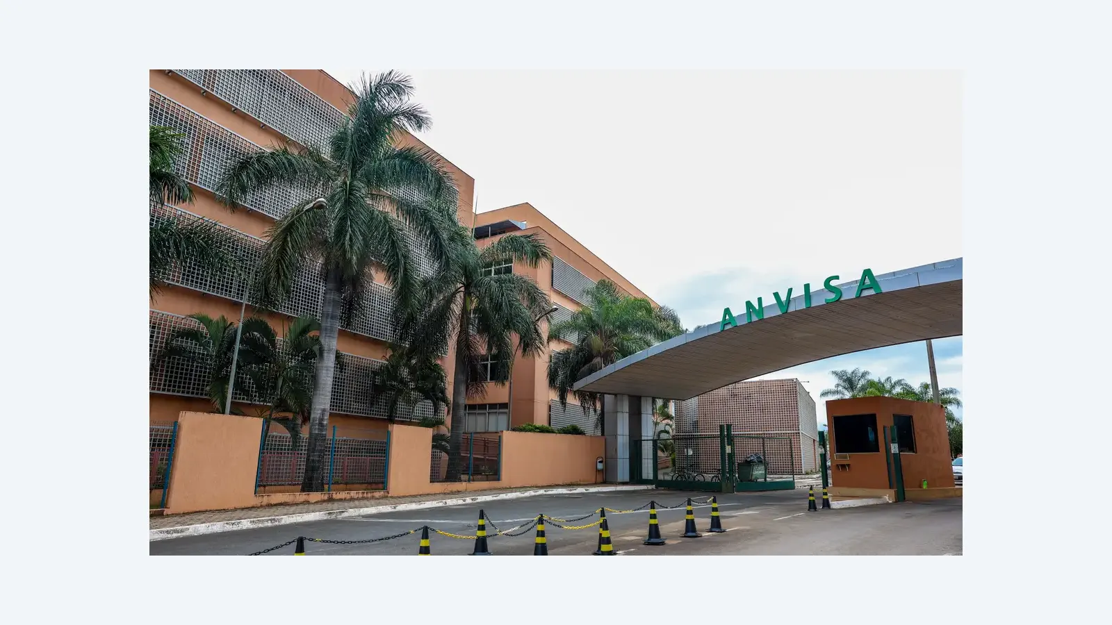 Anvisa aprova novo remédio para epilepsia farmacorresistente