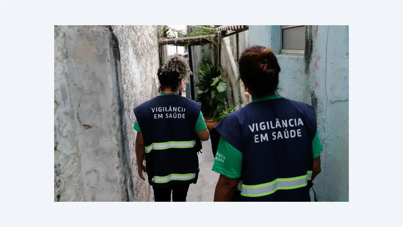 Dourados declara emergência por surto de chikungunya