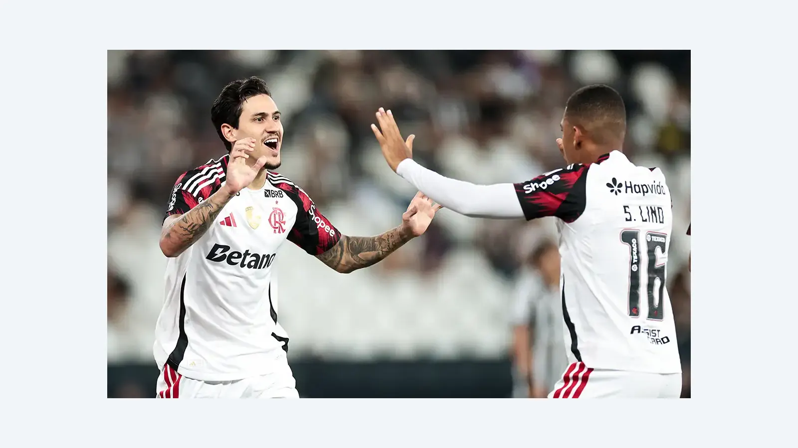 Flamengo vence Botafogo e mantém rival na zona de rebaixamento