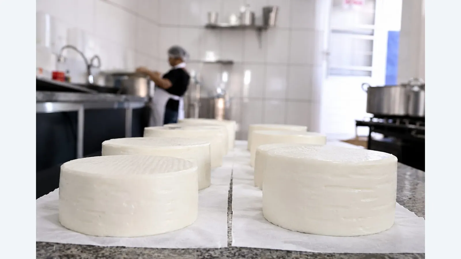 9ª Festa do Queijo em Rochedinho promete atrair 10 mil visitantes