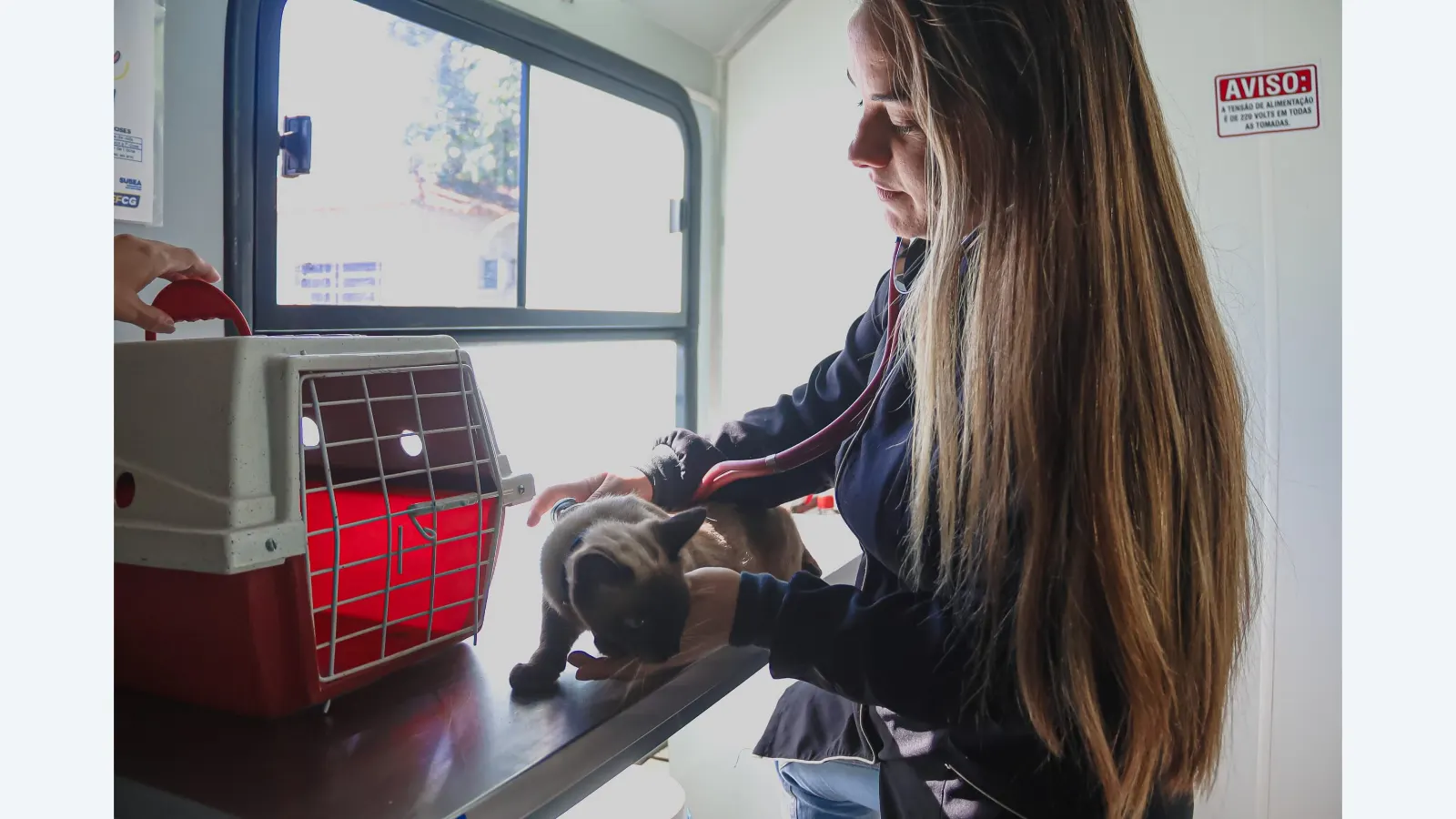 Consultório Móvel da Subea oferece atendimento veterinário gratuito em Campo Grande