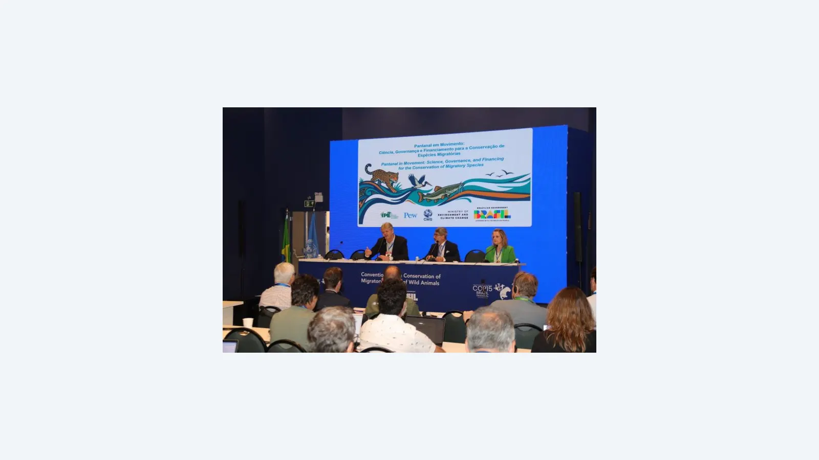 COP15 destaca financiamento para preservação do Pantanal
