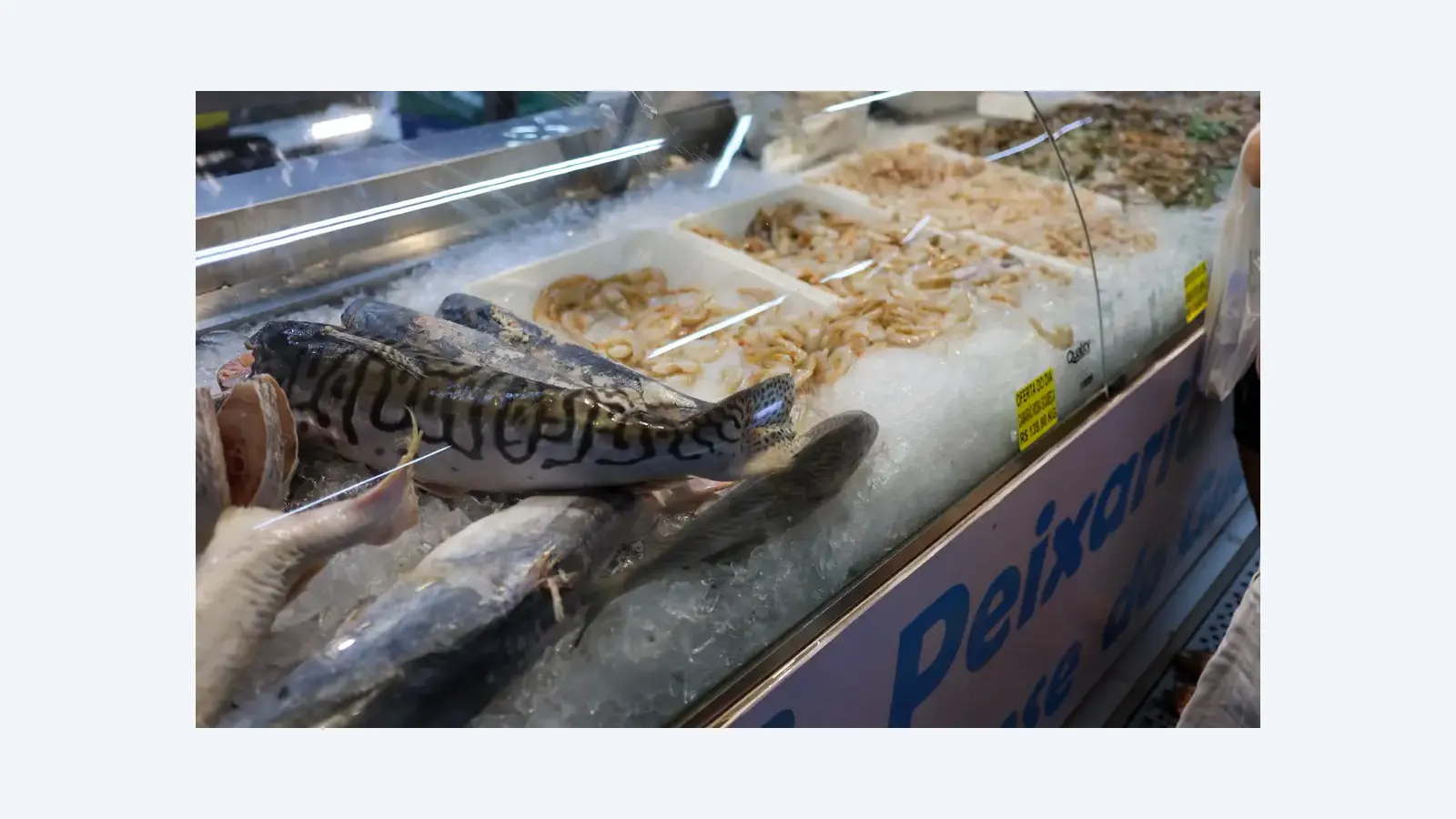 Vigilância orienta sobre compra segura de pescado na Semana Santa