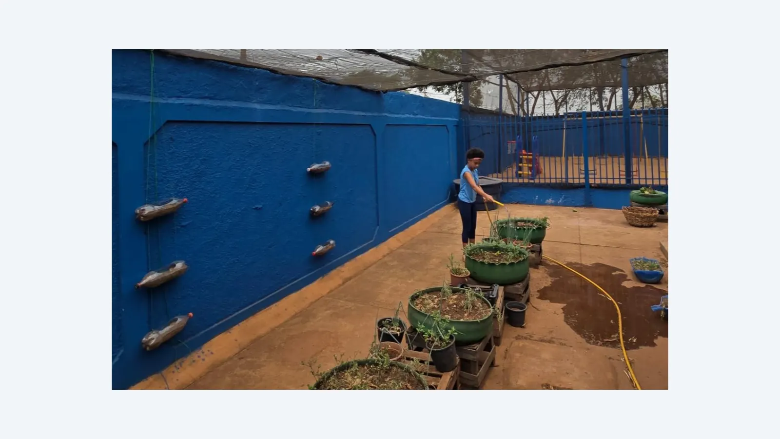 Escola de MS é Destaque Nacional com Prêmio de Educação Ambiental