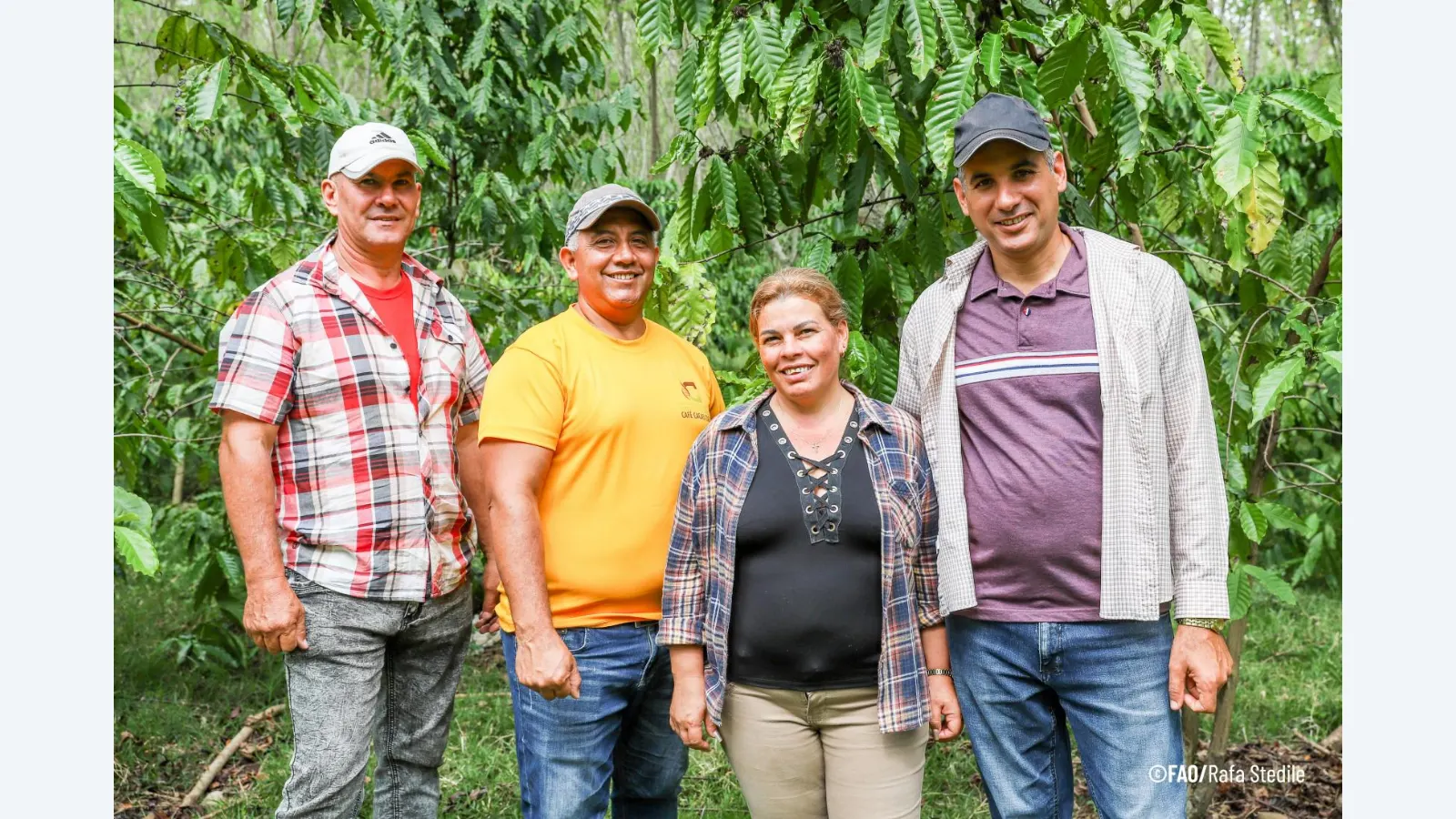 Acesso à Terra: Diálogos Globais Destacam Desafios da Agricultura Familiar