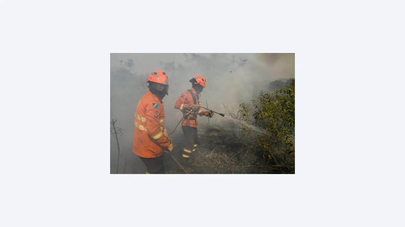 MS intensifica combate a incêndios no Pantanal com corpo de bombeiros