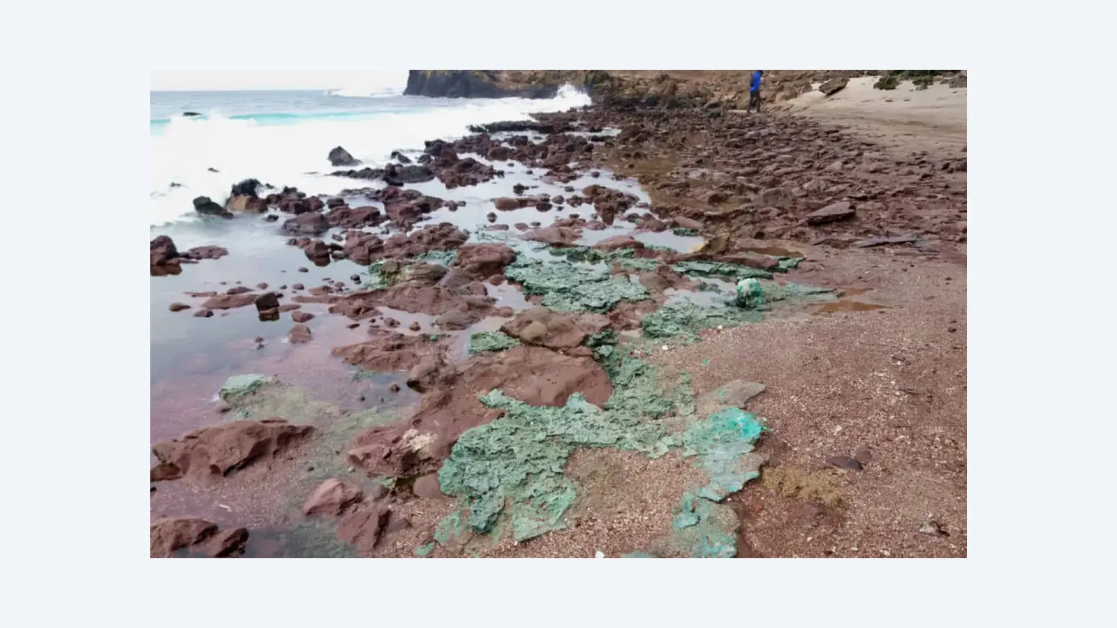 Rochas de plástico são encontradas em ninhos de tartarugas na Ilha de Trindade
