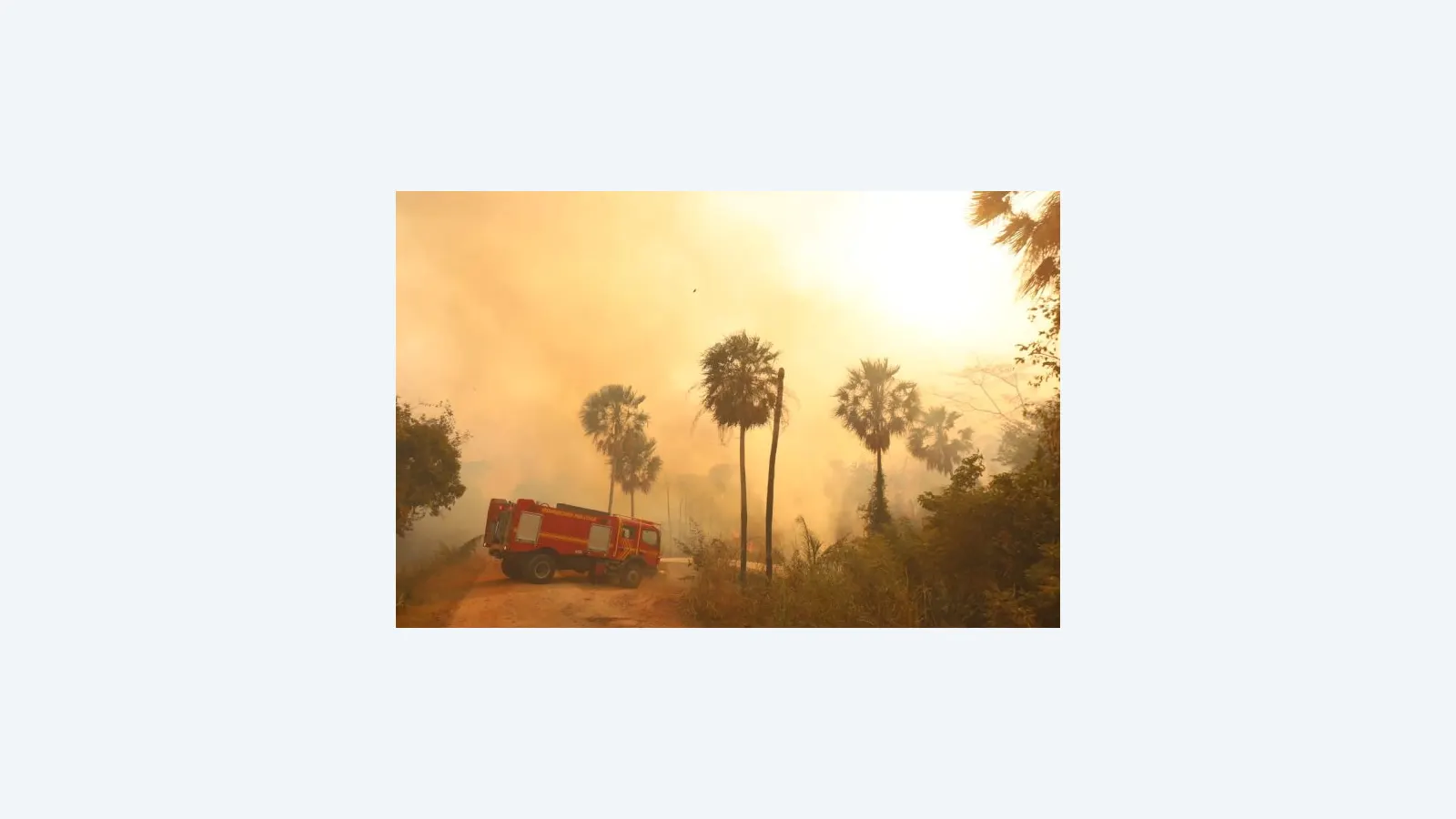 El Niño aumenta risco de incêndios no Pantanal; MS reforça combate