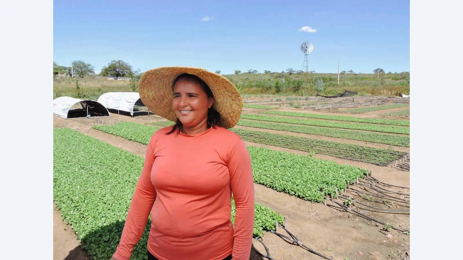 Projeto PROCASE da Paraíba conquista prêmio por sustentabilidade rural