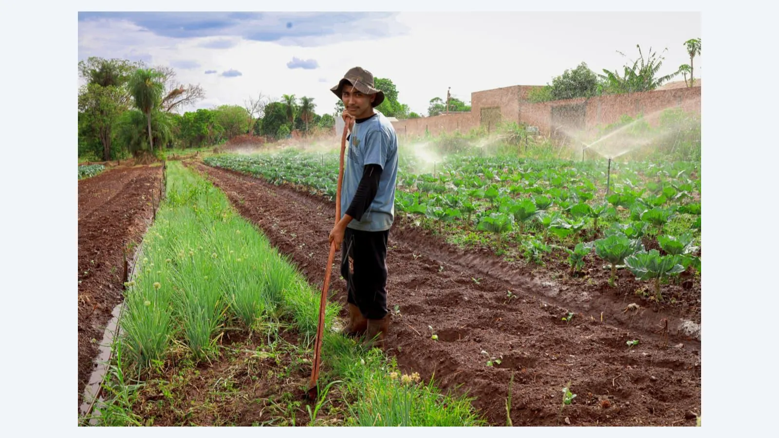 Campo Grande Lança Programa para Combater a Fome com Agricultura Familiar