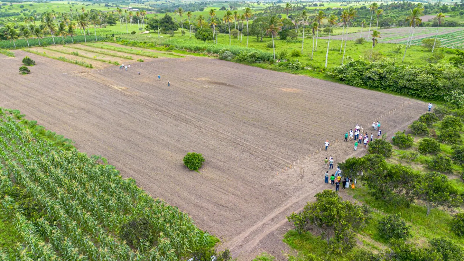 Projeto Raízes Agroecológicas avança com corredores agroecológicos no Brasil