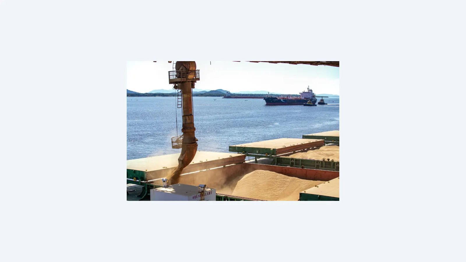 Exportações de Mato Grosso do Sul crescem 12,5% em 2023, impulsionadas pelo agronegócio