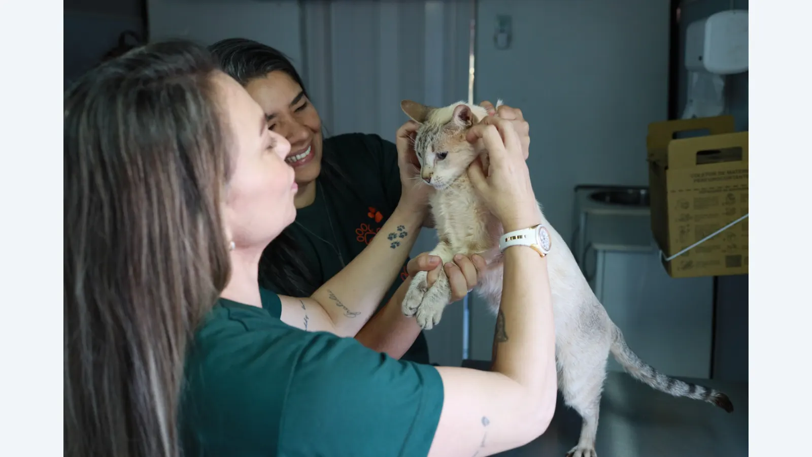 Consultório Móvel da Subea oferece atendimento veterinário gratuito em Oliveira II