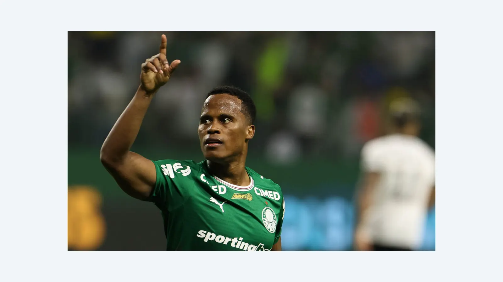 Palmeiras assume liderança ao vencer Botafogo por 2 a 1 no Brasileirão