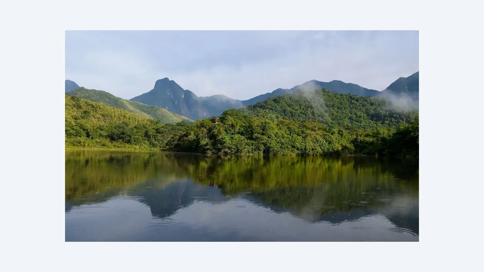 Qualidade da água nos rios da Mata Atlântica permanece crítica em 2025