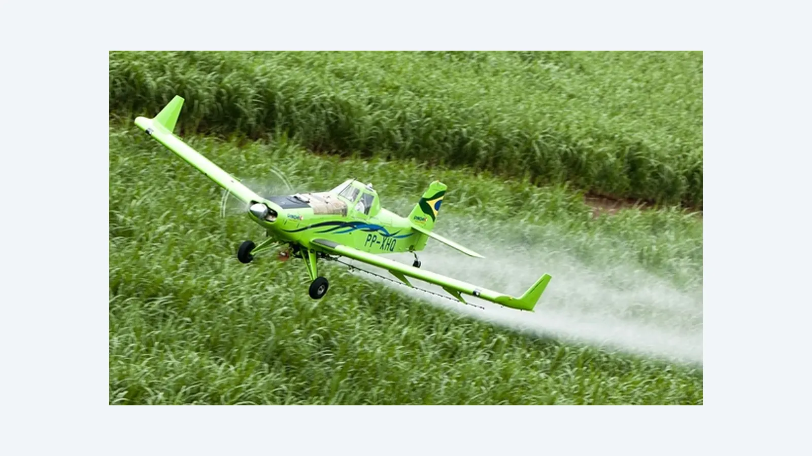 Toxicidade dos agrotóxicos cresce globalmente com Brasil em destaque