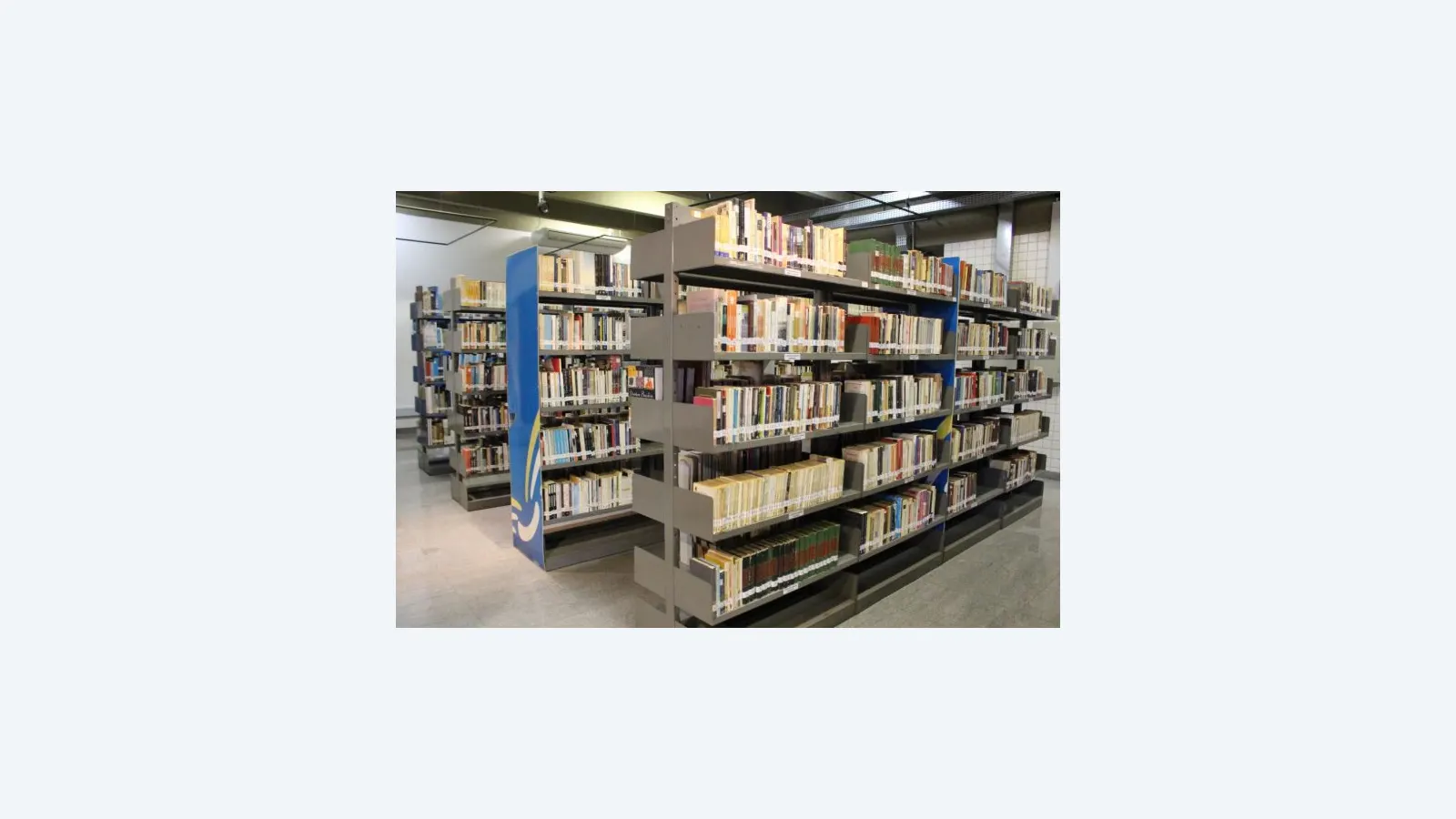 Fundação de Cultura de MS lança edital para obras literárias independentes
