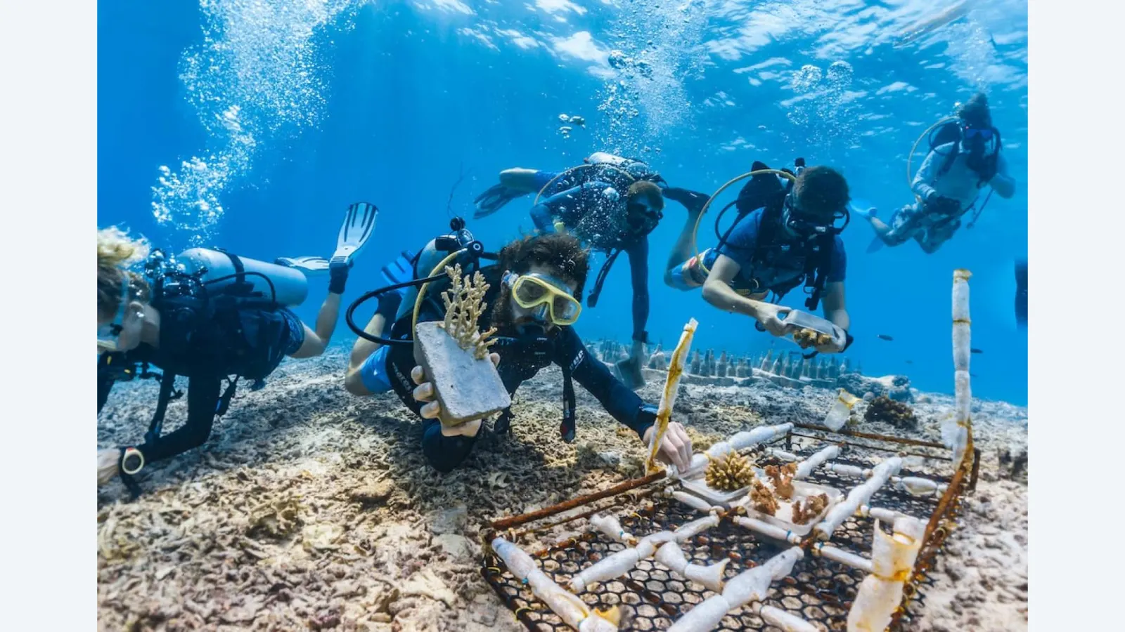 ONU abre inscrições para bolsas sobre Direito do Mar até setembro de 2026