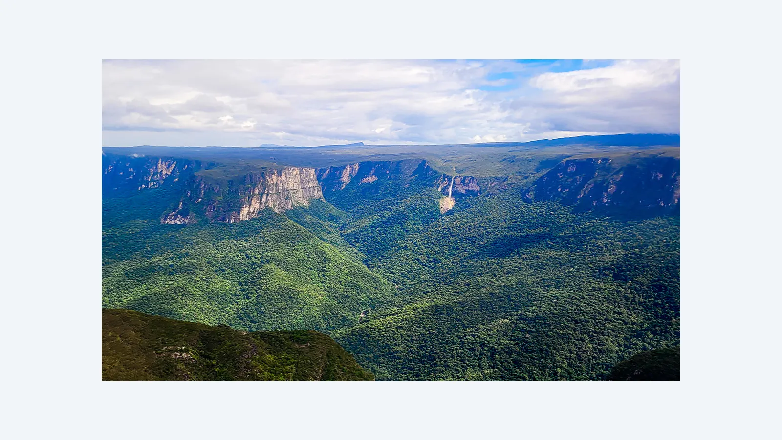 Expedição Científica Inédita Mapeia Biodiversidade da Serra do Aracá no Amazonas