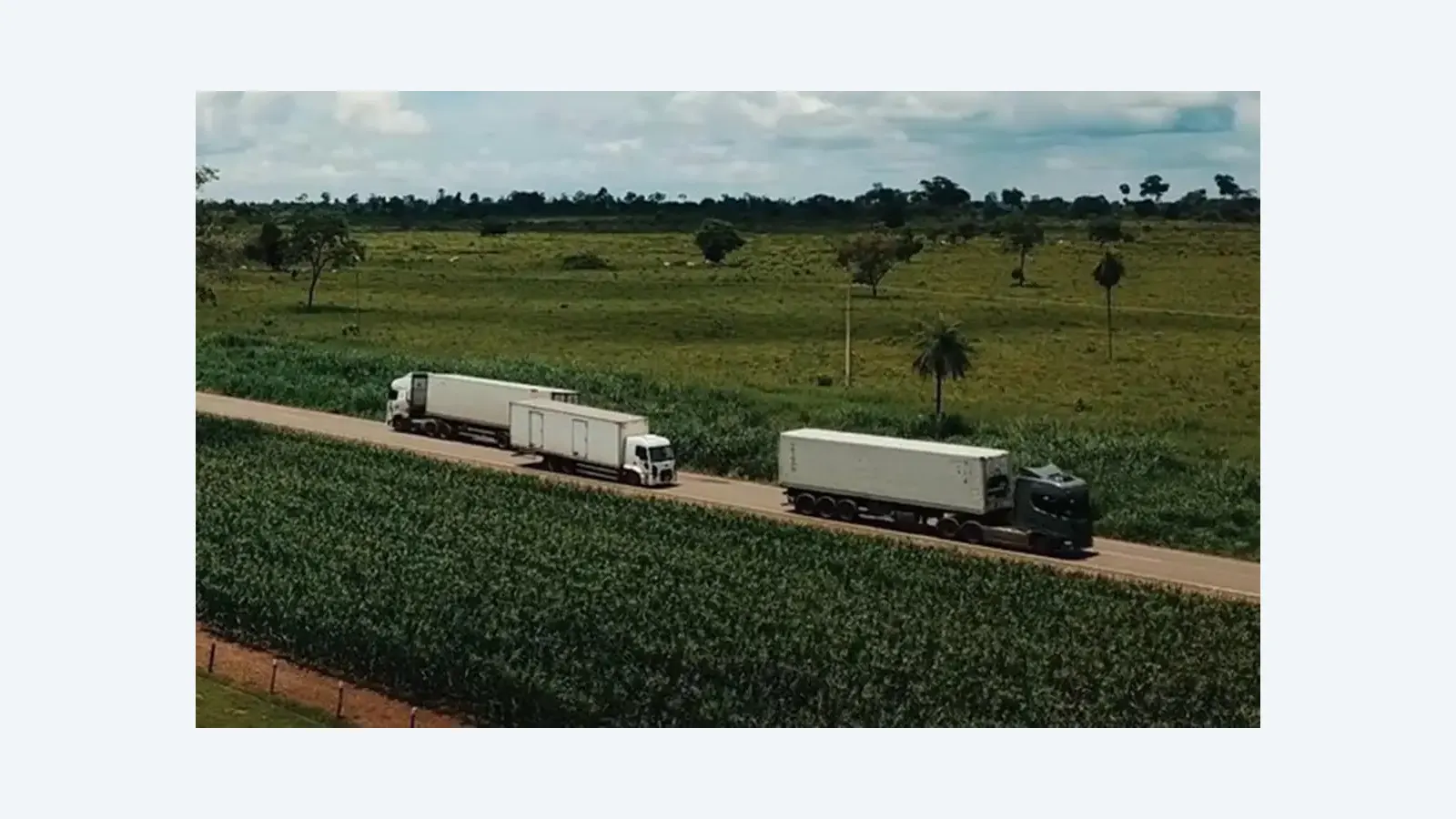 Volume de serviços no Brasil atinge recorde histórico com avanço de 0,1% em fevereiro