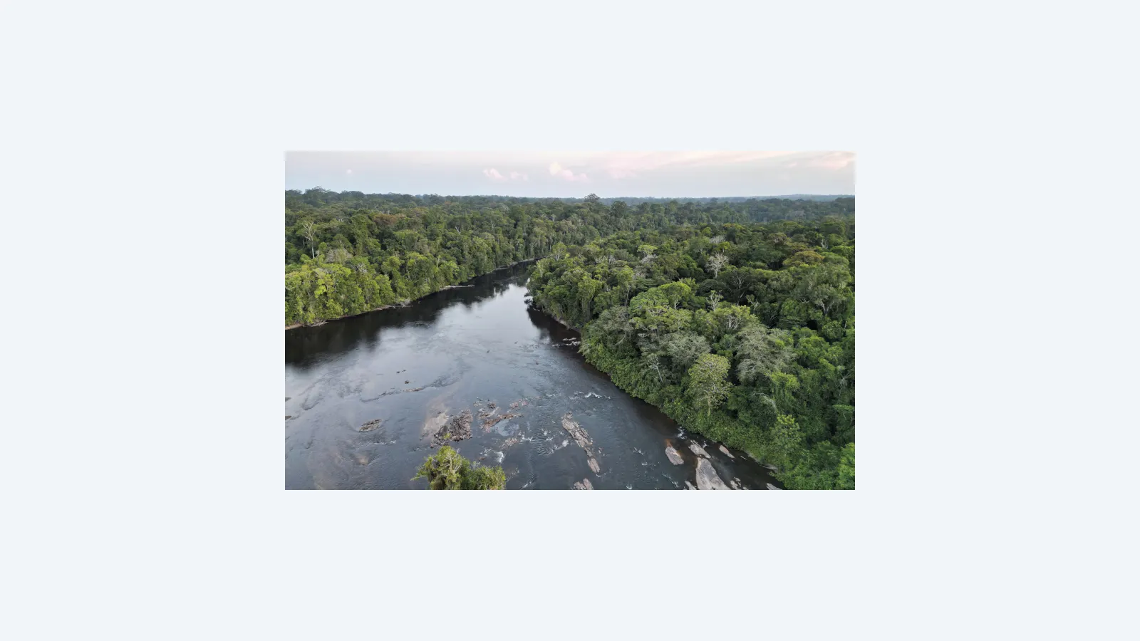 Nova plataforma integra dados sobre gases de efeito estufa na Amazônia