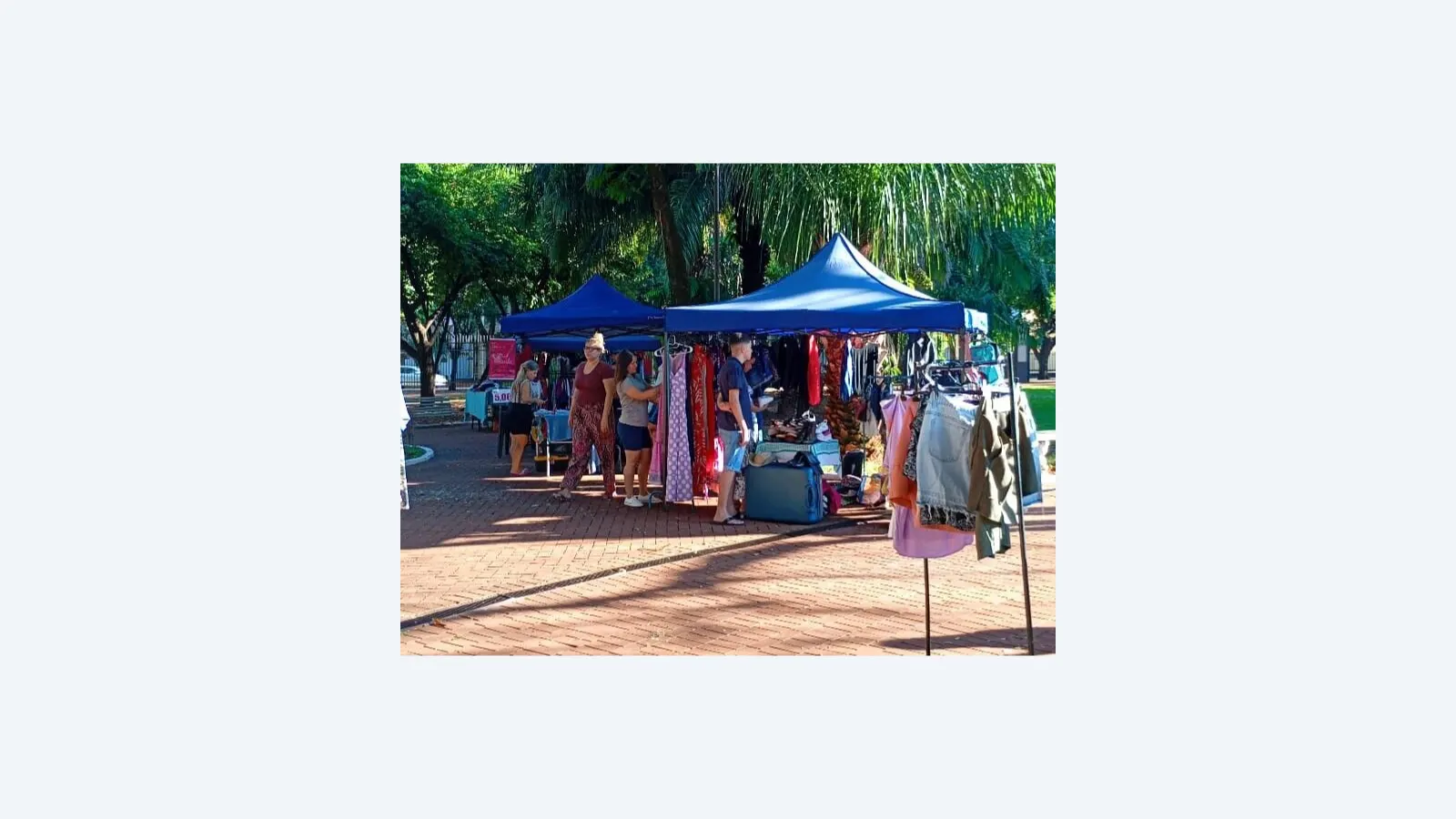 Fim de semana cultural em Campo Grande: música, arte e gastronomia