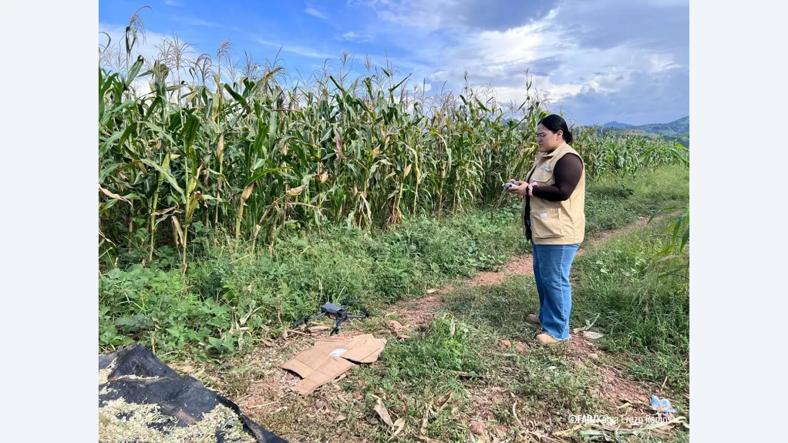 Brasil e FAO impulsionam agricultura familiar na América Central