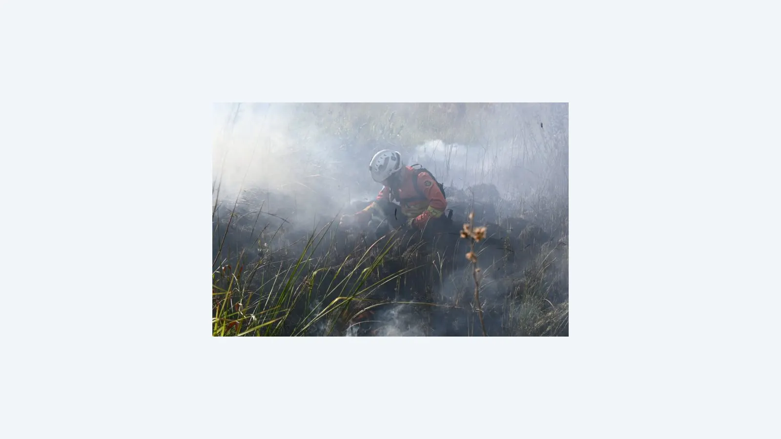 Governo de MS declara emergência ambiental para combater incêndios florestais