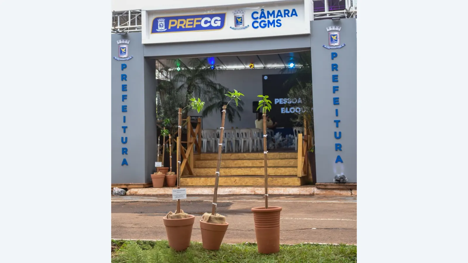 Campo Grande apresenta mudas clonadas das figueiras históricas na Expogrande 2026