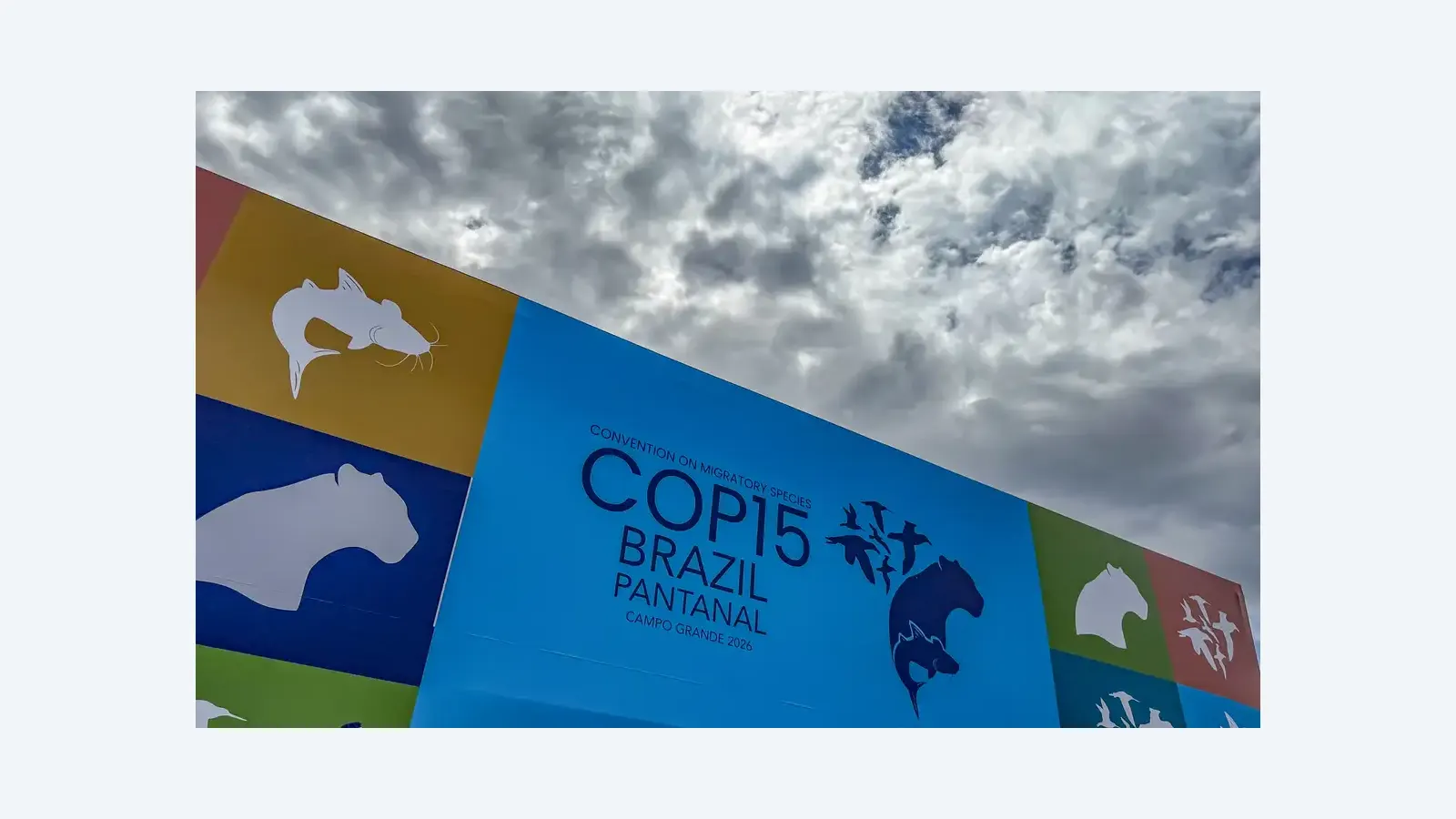 COP15 em Campo Grande reúne líderes para preservar espécies migratórias