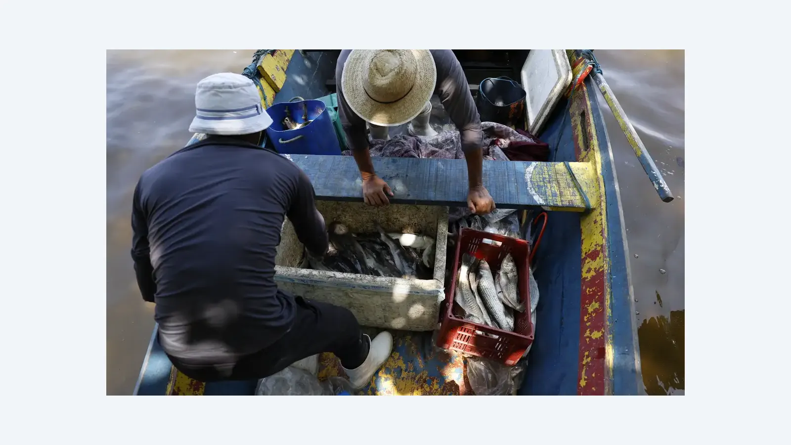 Ministério do Trabalho libera 6º lote do seguro-defeso para pescadores
