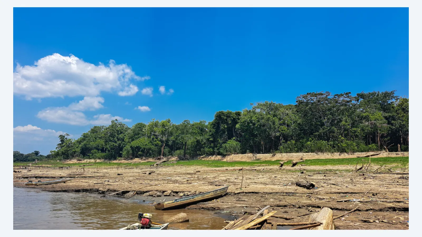 Estudo revela como isótopos da água ajudam a prever secas na Amazônia
