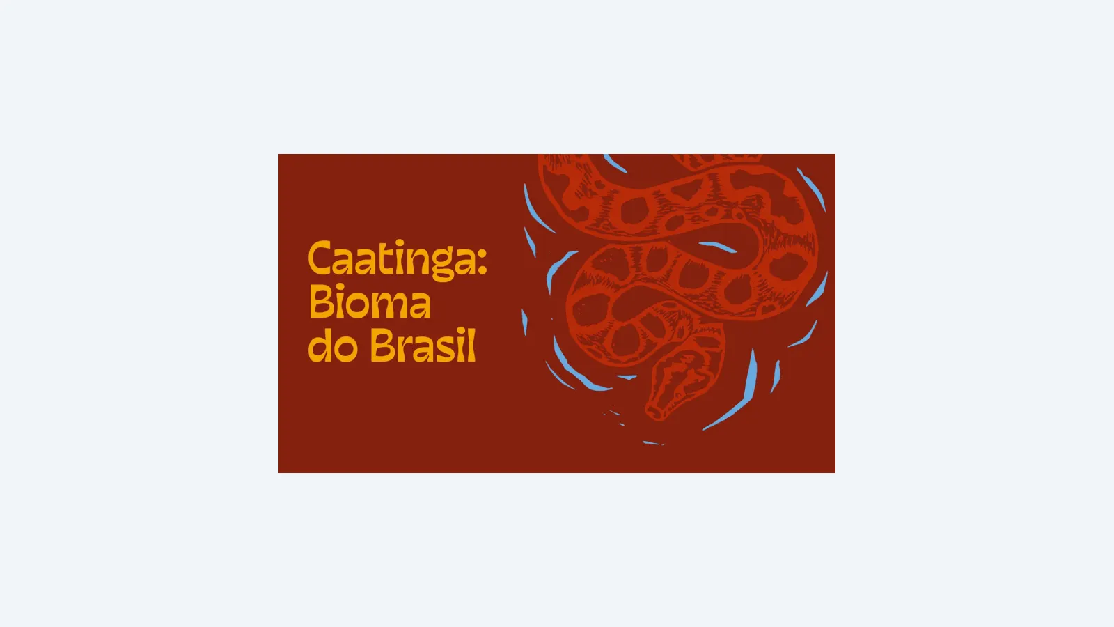 Exposição 'Caatinga: bioma do Brasil' destaca biodiversidade e cultura