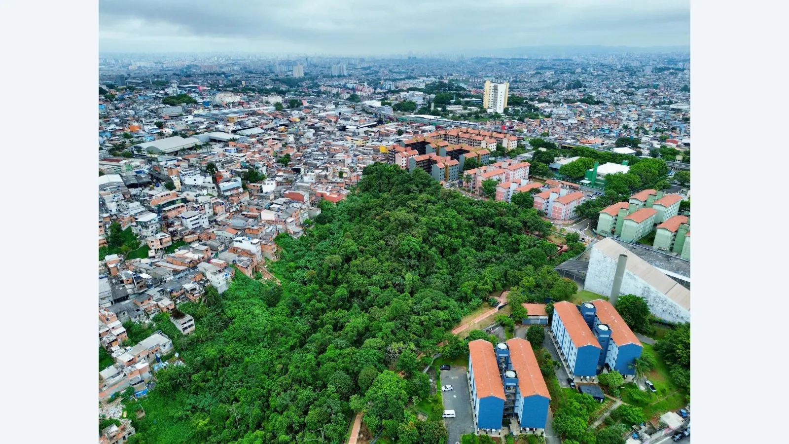 São Paulo renova parceria com ONU para ampliar parques e gestão verde