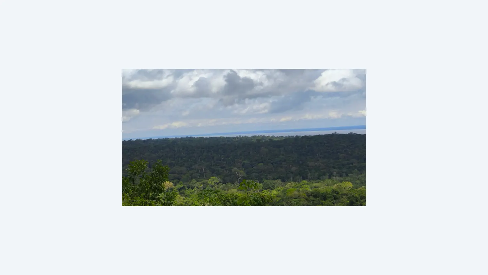 Desmatamento na Amazônia eleva temperatura e reduz chuvas na estação seca