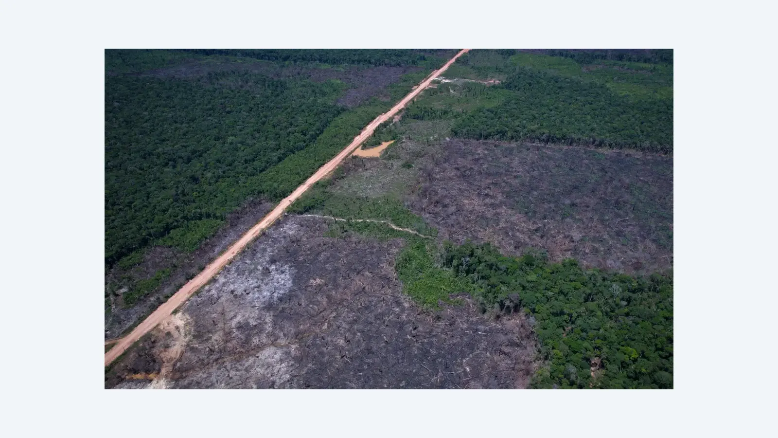 Críticas à urgência na votação de projeto que muda lei ambiental
