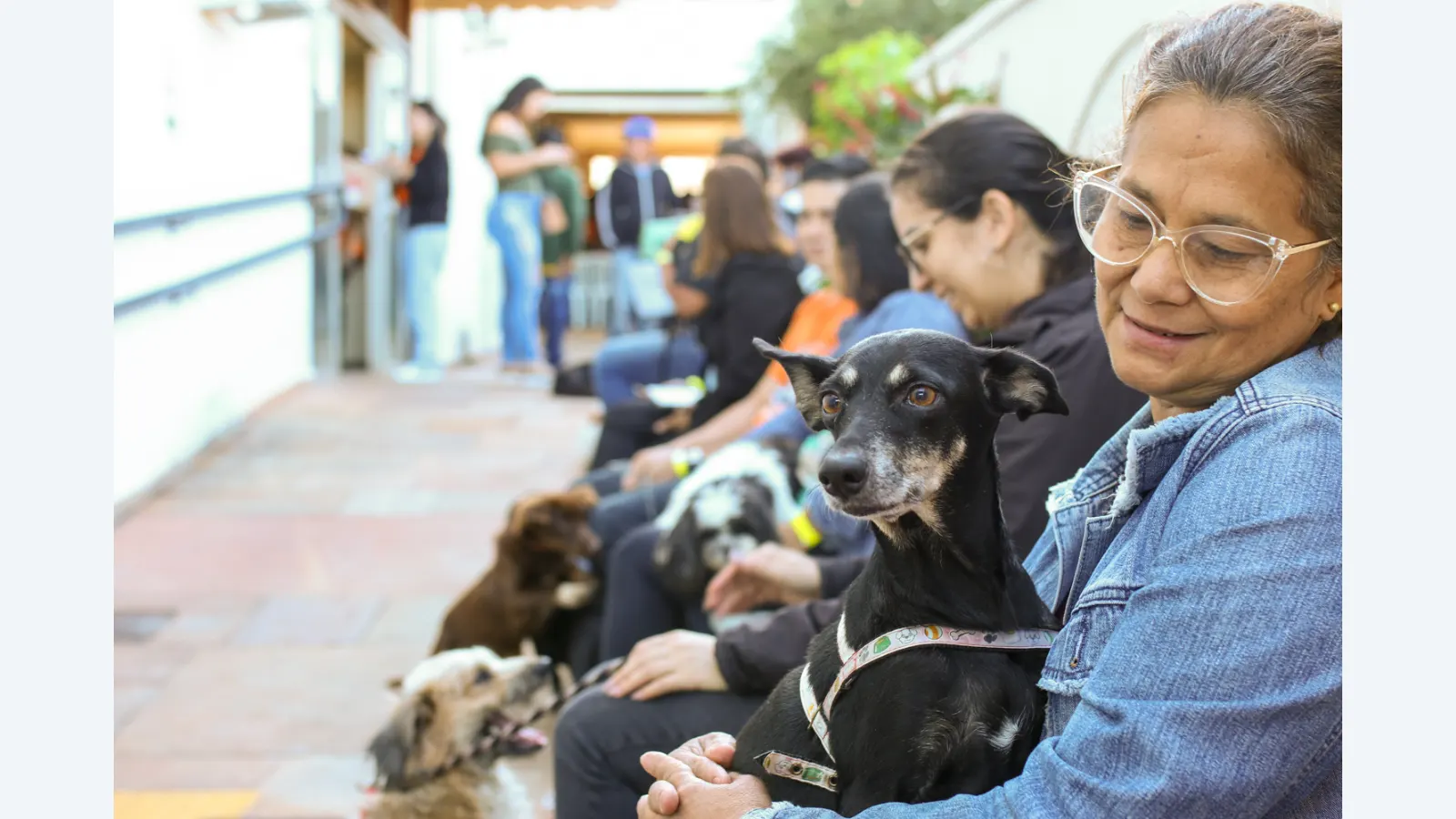 Atendimento Veterinário Gratuito Chega à Vila Serradinho em Outubro